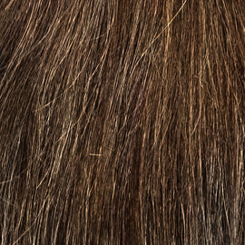 Medium Brown / Honey Blonde