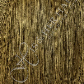 Medium Ash Brown / Honey Blonde