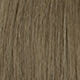 Light Ash Brown (with more ash)