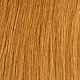 Honey Blonde (has reddish tone)