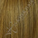 Medium Ash Brown / Light Auburn