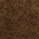 Medium Auburn (BROWN)